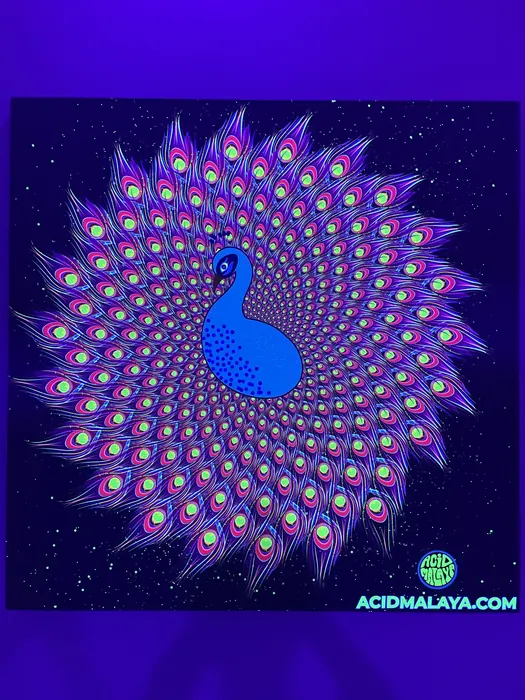 Peacock artwork glowing under blacklight